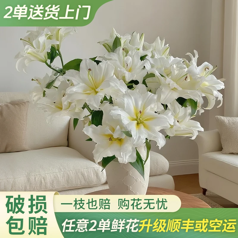 【大聪明卖花】暴风雪重瓣百合云南直发鲜花家居水养鲜花花束客厅