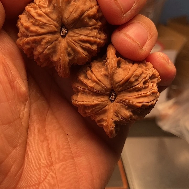 ****落把件文玩核桃41/37/33洫麒麟