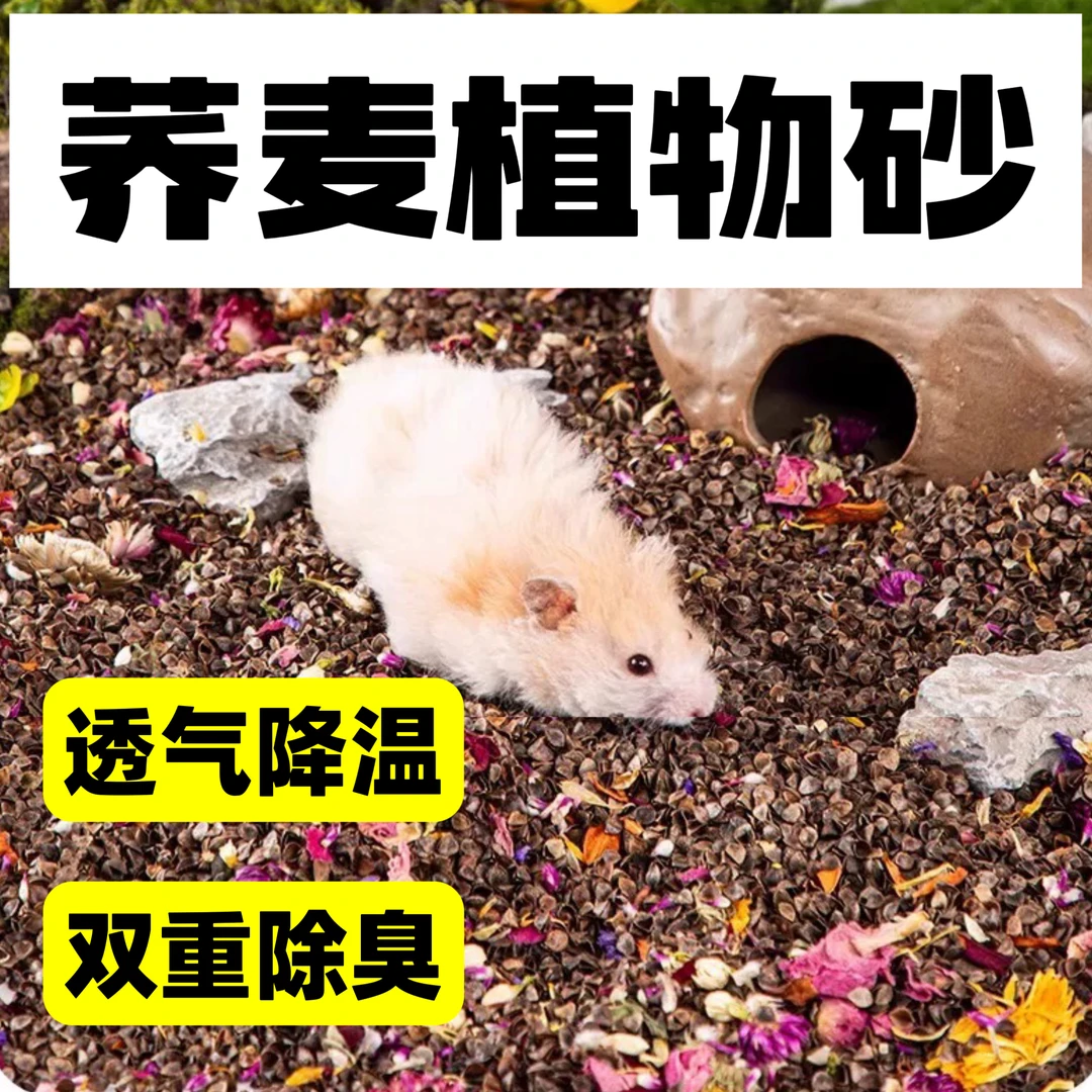 弗乐芙花香款荞麦砂仓鼠垫料夏季降温金丝熊吸水除臭造景核桃颗粒