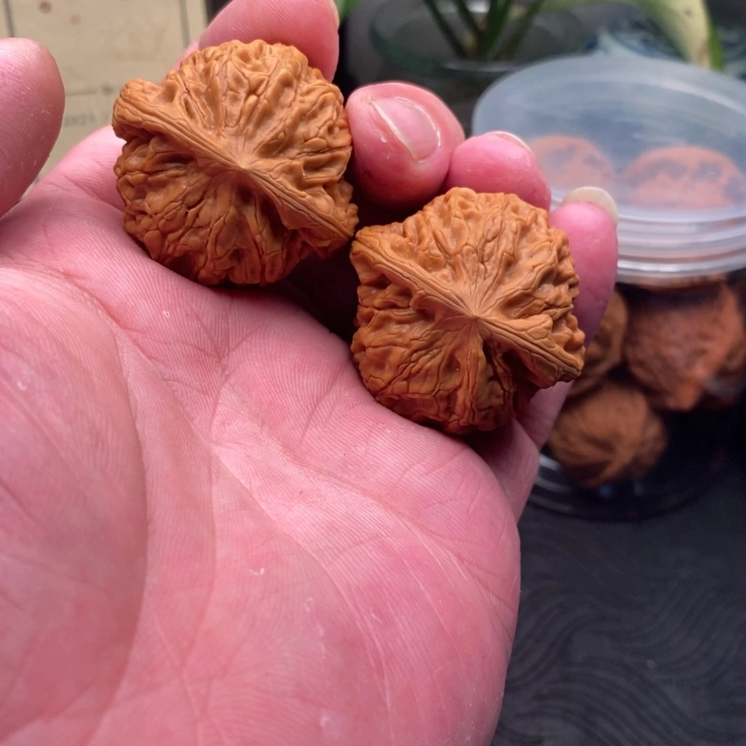 核桃把件九龙 39边 微修