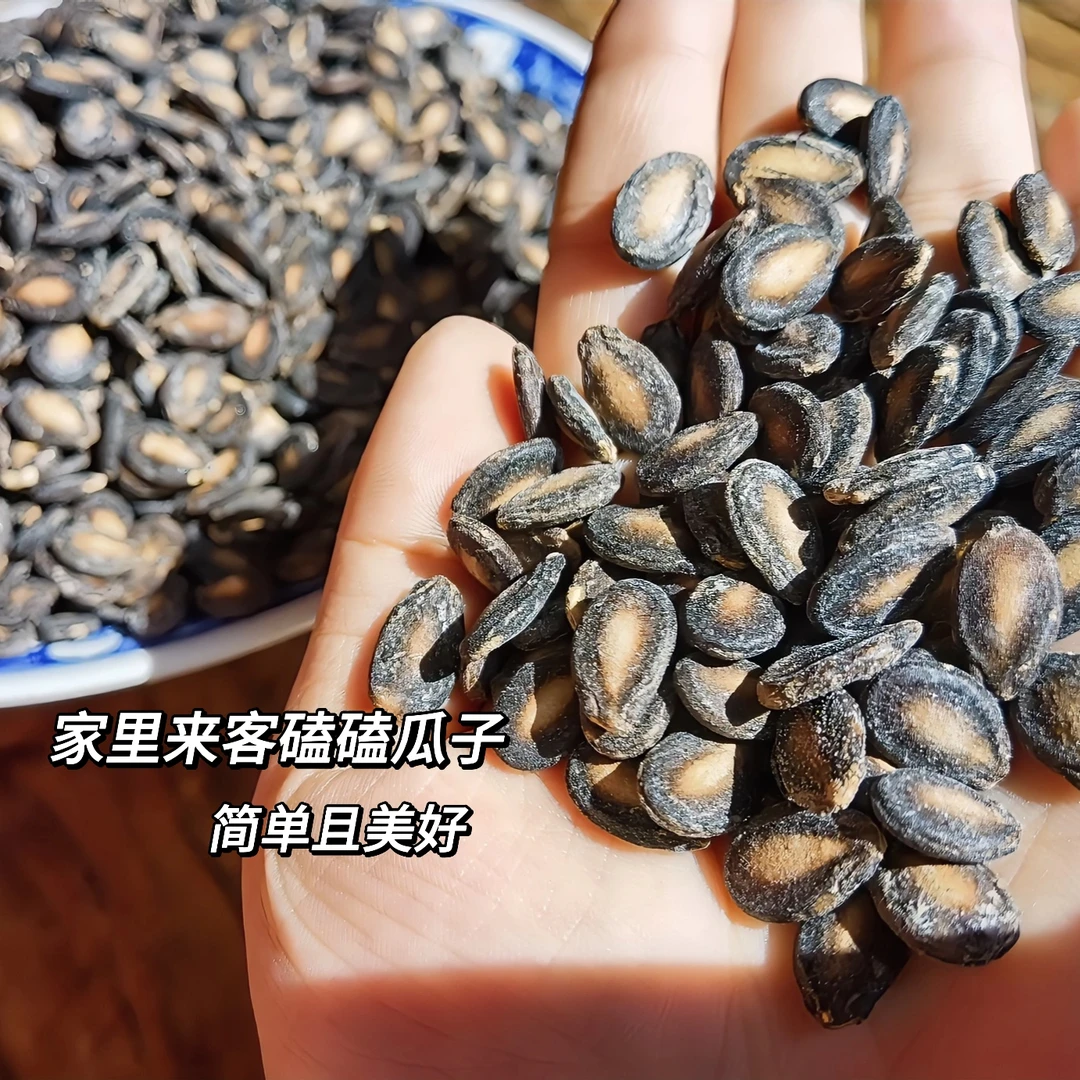 农户老家笨打瓜籽咸香口感农家小粒香当年新瓜子500克