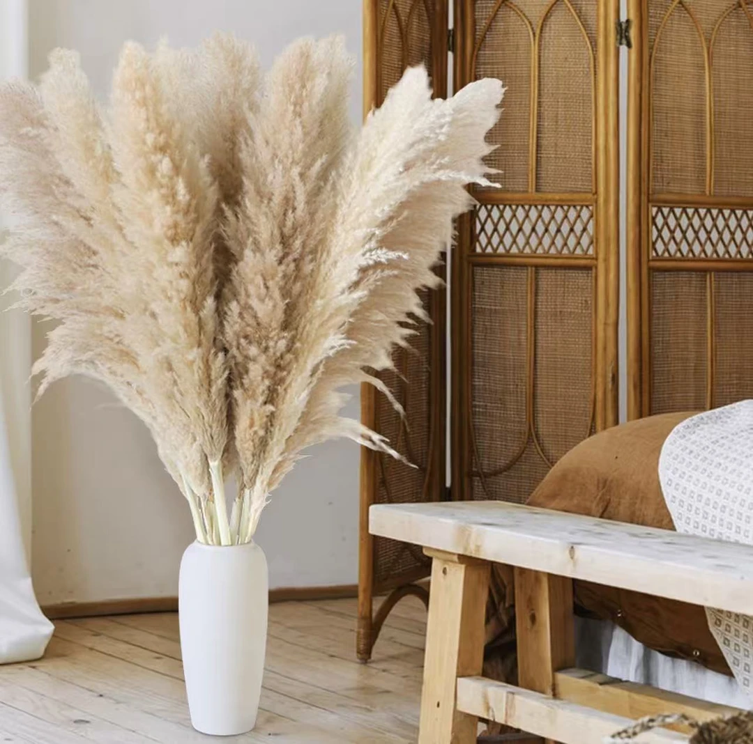 大蒲苇自然干花自家基地种植客厅落地客厅摆件高级装饰花