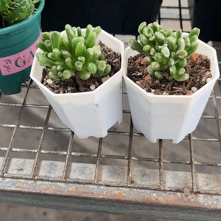 虹***漫我也不知道我为什么要这样