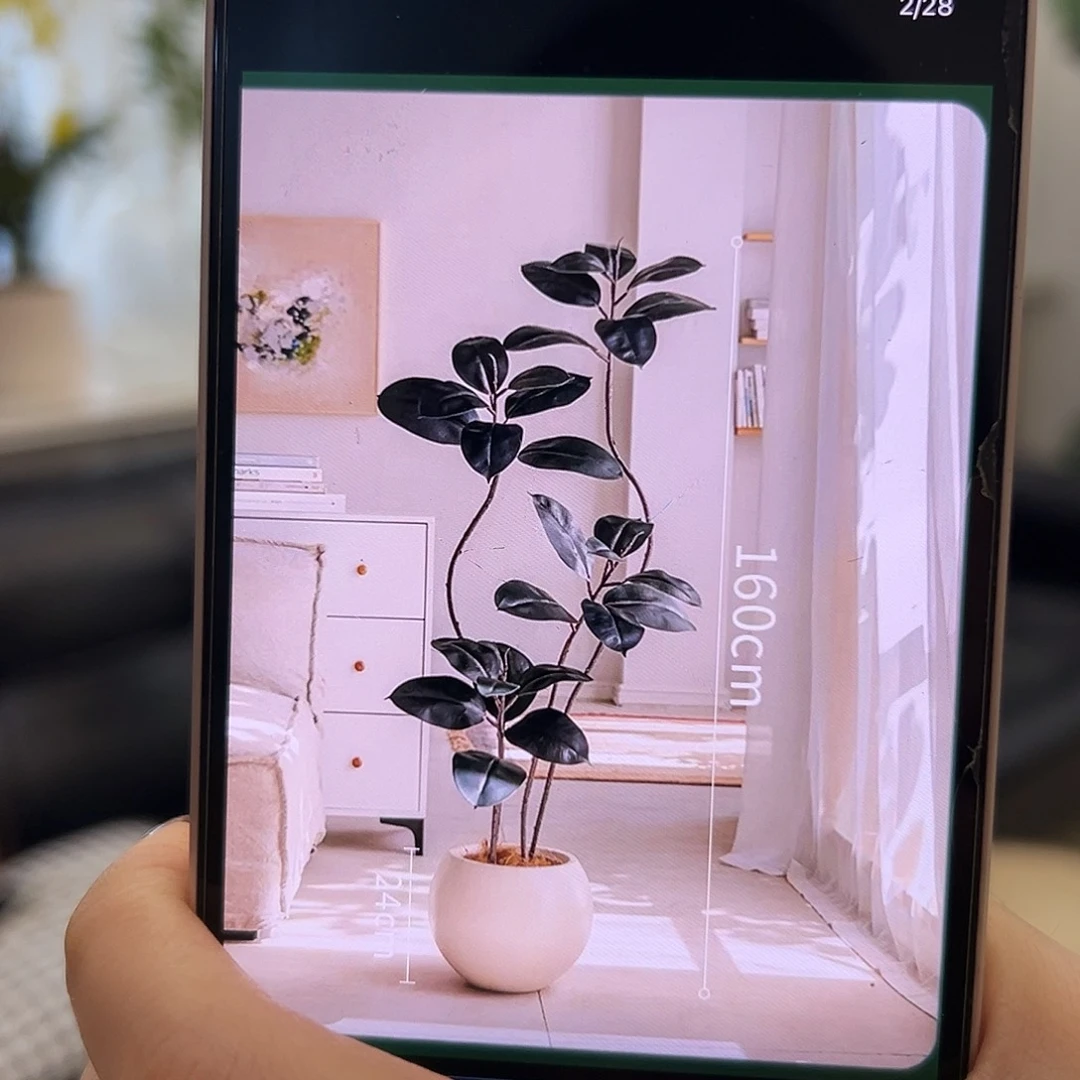 抖音直播间黑金刚1.6带盆