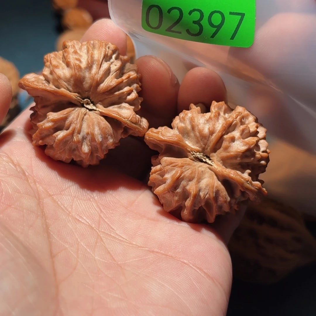 文玩核桃吊坠红珊瑚