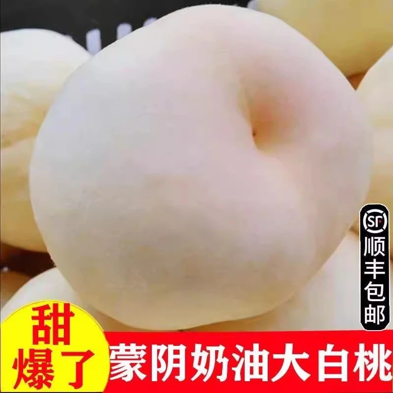 【小明正能量】山东蒙阴奶油大白桃脆桃白玉脆甜毛桃水蜜桃新鲜水果