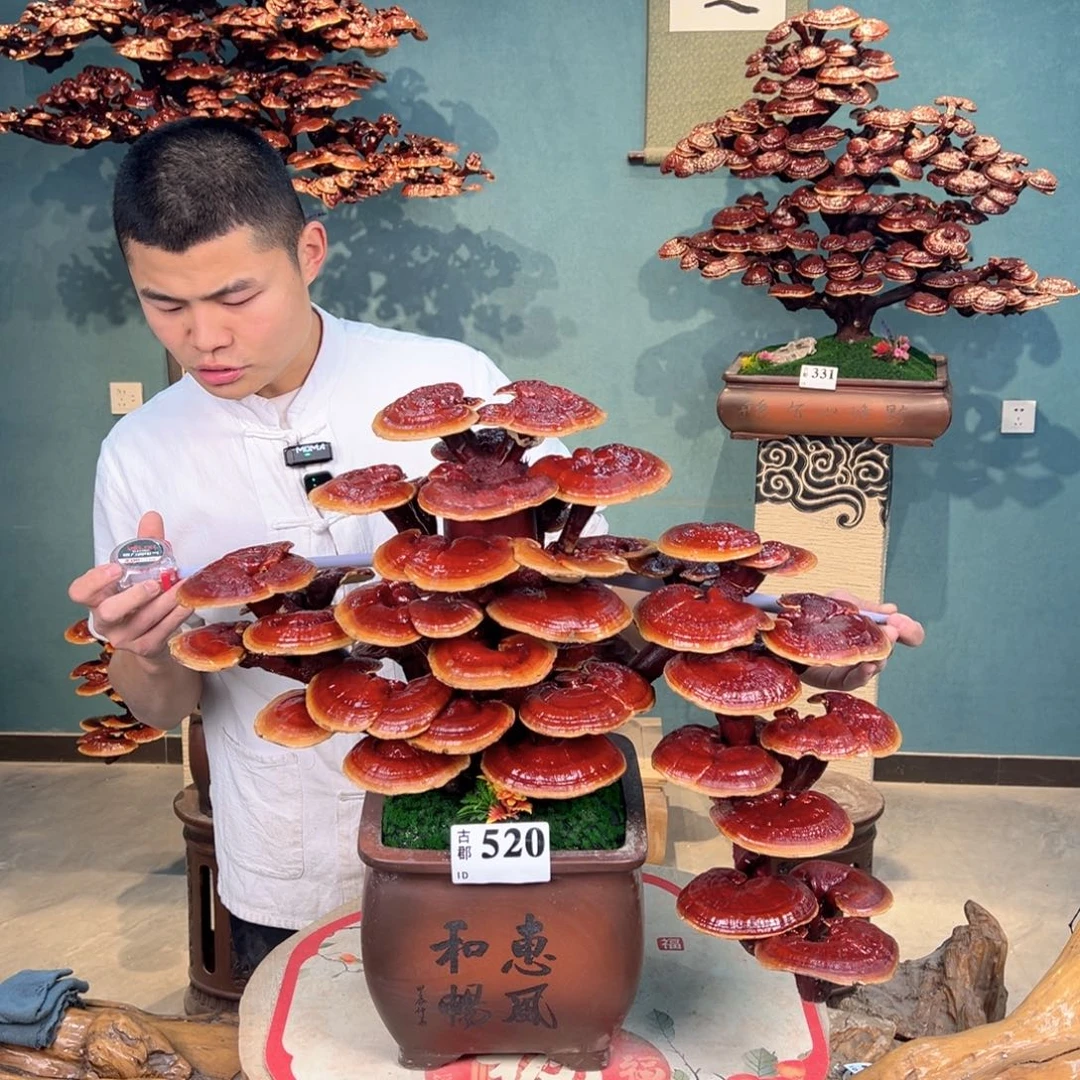 无花朵88888888888