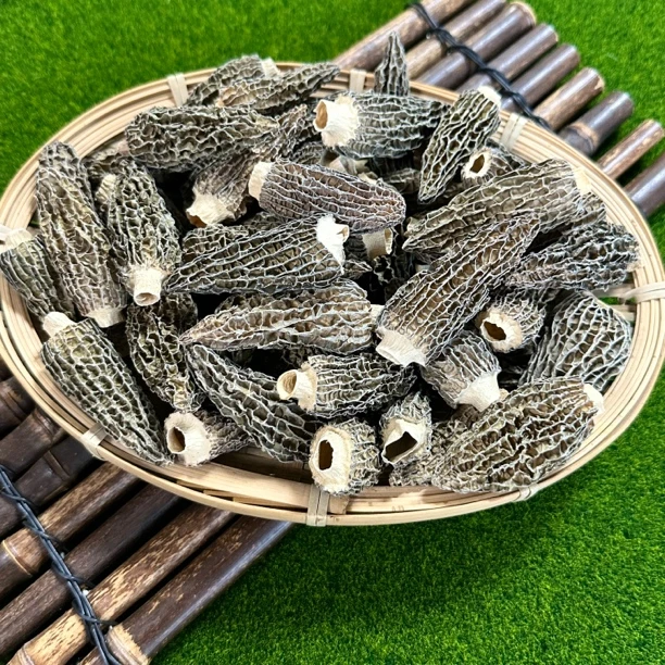 【农民卜卜】4-7高原剪脚羊肚菌 菌香浓郁