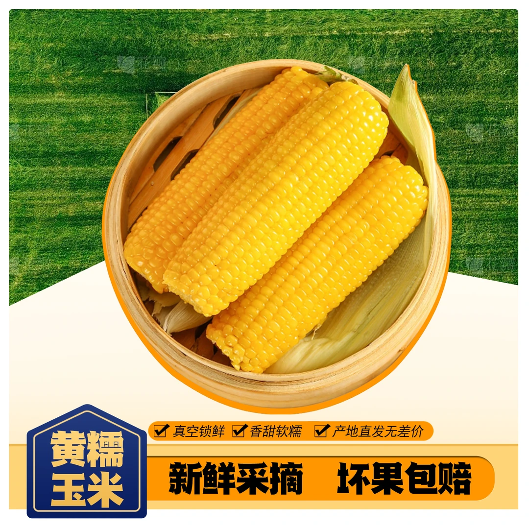 【试吃2根】25年东北头茬黄糯玉米软糯香甜好吃整箱10根装