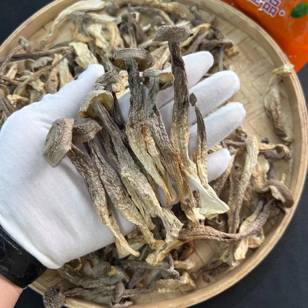 【鸡哥专属】脆脆菇【虾干福利】