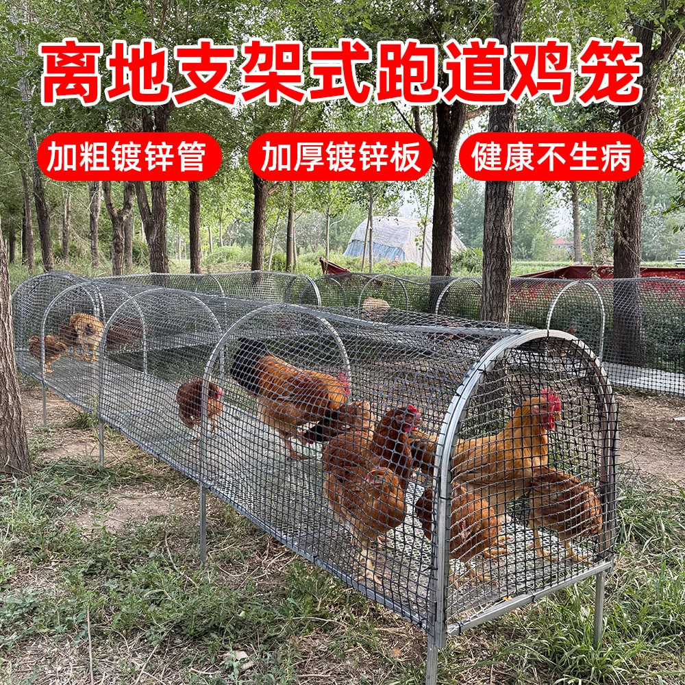 新款第二代离地养殖棚鸡牛津围栏网鸡笼新款防腐防锈户外养鸡