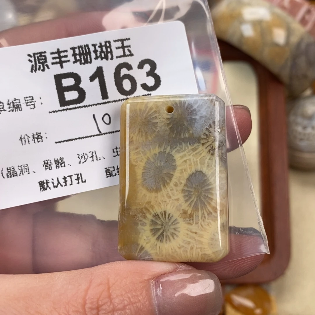 硅化玉颈饰未镶嵌n***1