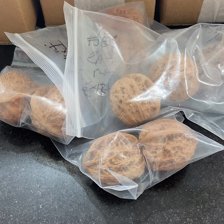 吊坠文玩核桃一单5对16