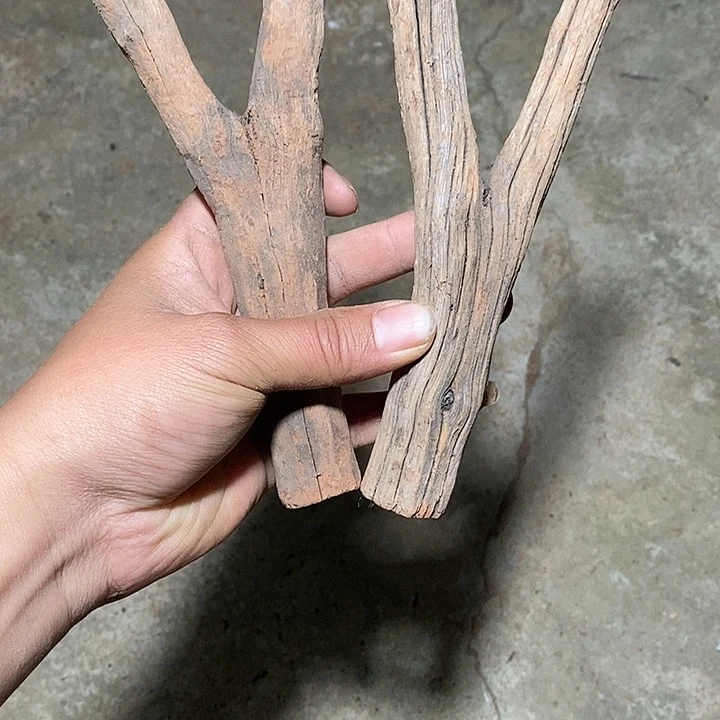 风车木（黑檀木）打****强