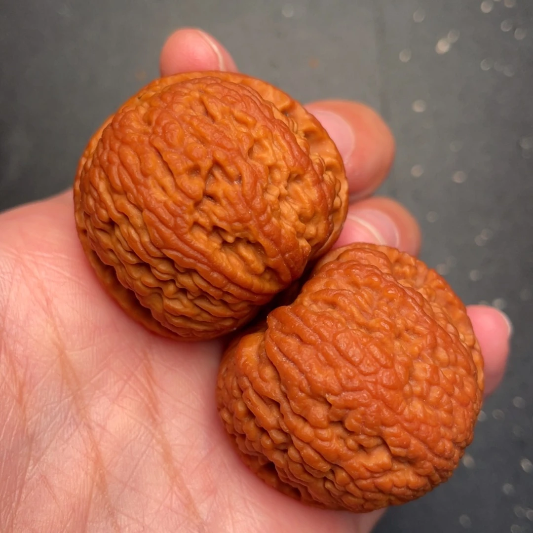 秦岭野生文玩核桃