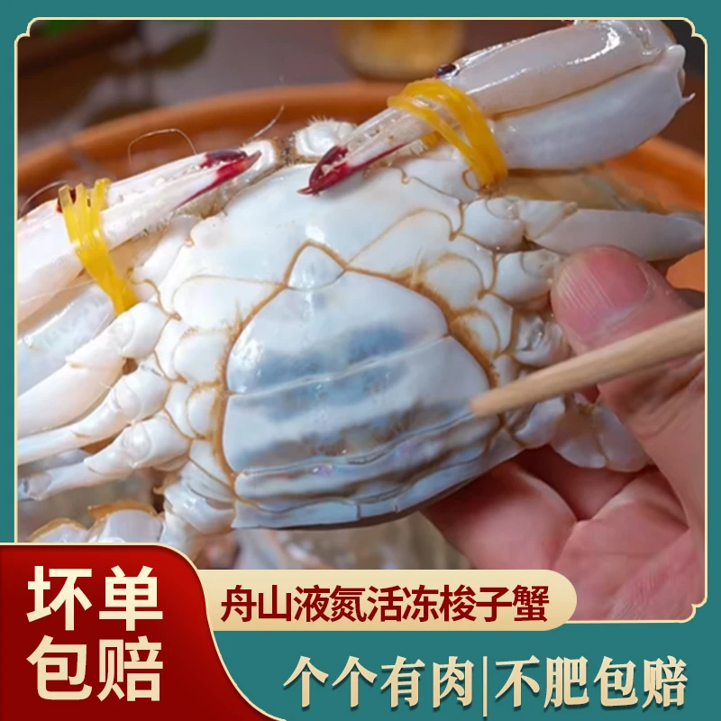 10只4两左右/只【冻蟹】母蟹三斤半舟山液氮活冻母蟹肉蟹活冻蟹
