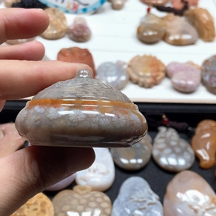 硅化珊瑚（珊瑚玉）未镶嵌颈饰