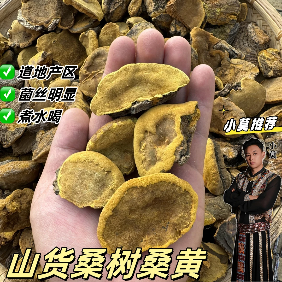 【桑树桑黄】 正宗的   100g/250g/500g     皂角米*
