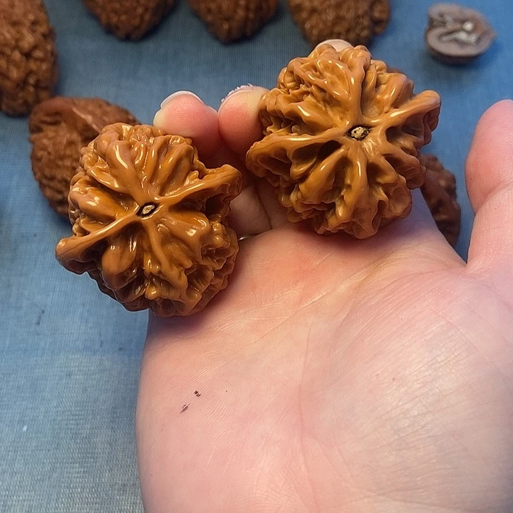 十***.龙鳞狮子头44尺寸