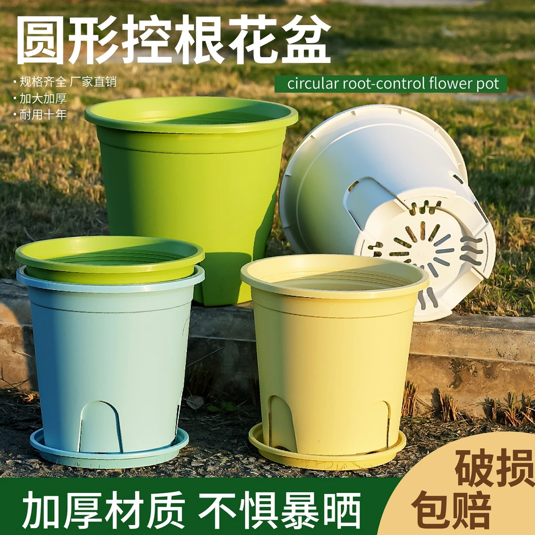 正品圆控根口18cm高18cm（1.5加仑）