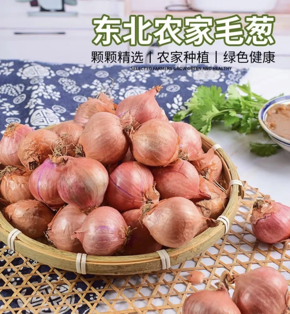 东北农家毛葱1500g包邮
