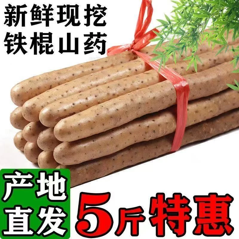 【福利5斤】铁棍山药正宗新鲜小白嘴垆土淮山药农家自种粉糯30-50cm