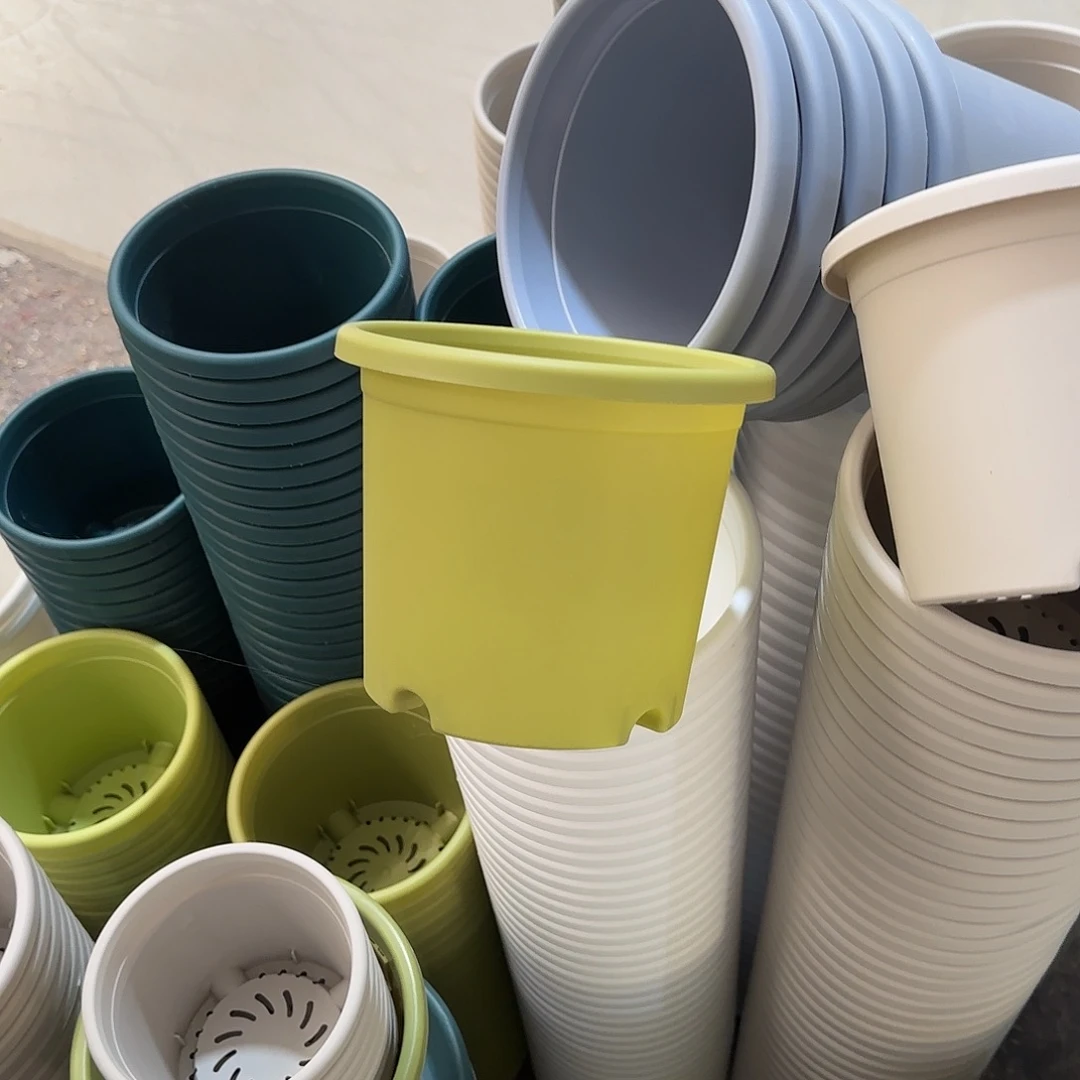 微瑕2号20个无托，果绿