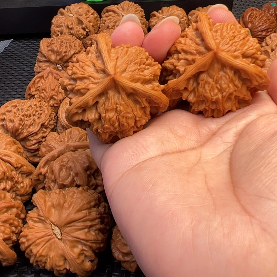 Z***n星月菩提把件盘山三棱