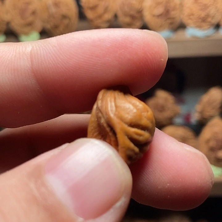 纯手工苏工生命之源