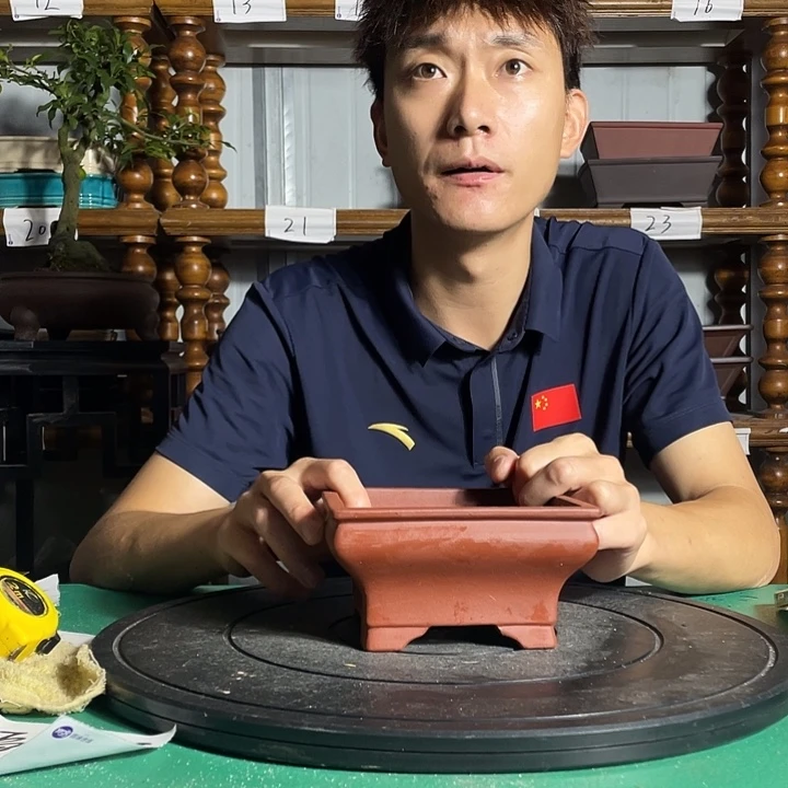 、***白宜兴紫砂花盆中含有丰富