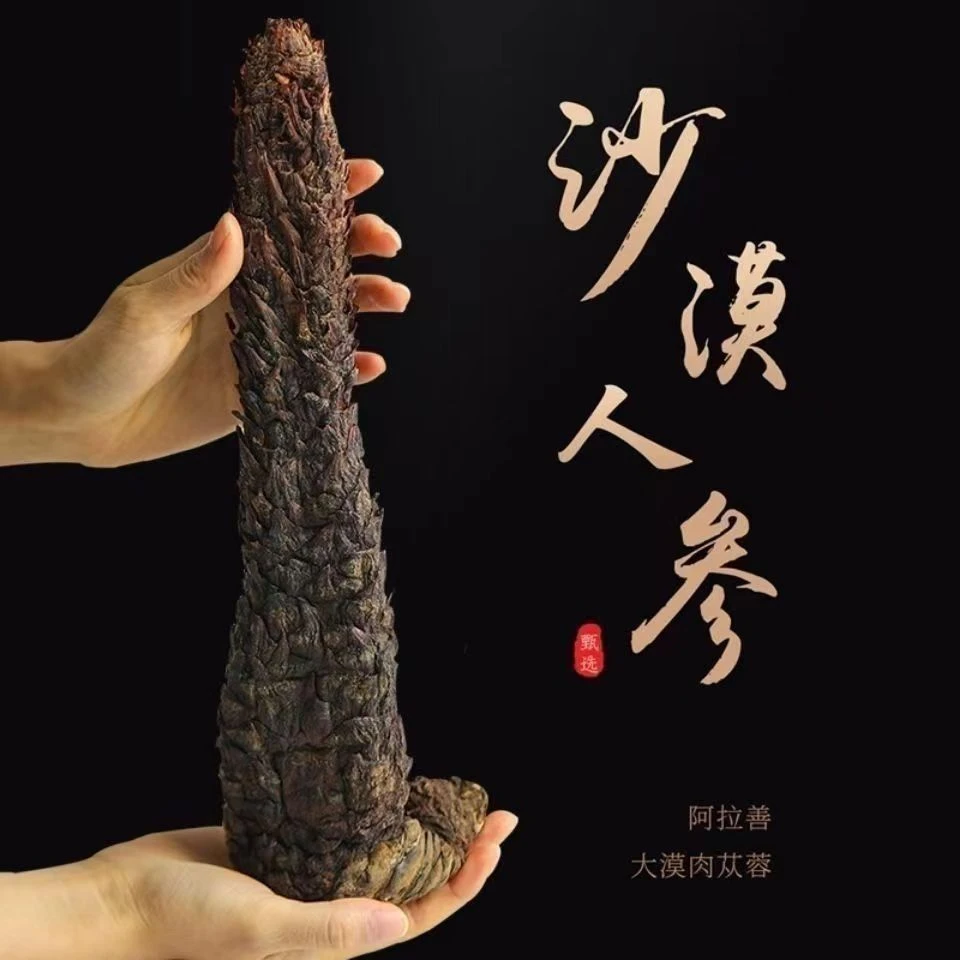 肉苁蓉中药材正品新疆整根切片中药整切片中药饮片煲汤泡茶泡酒