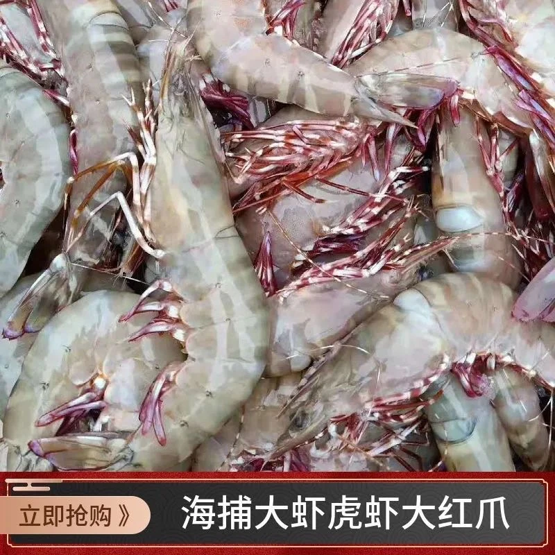 冰鲜大红抓虾 虎虾 2斤 3斤