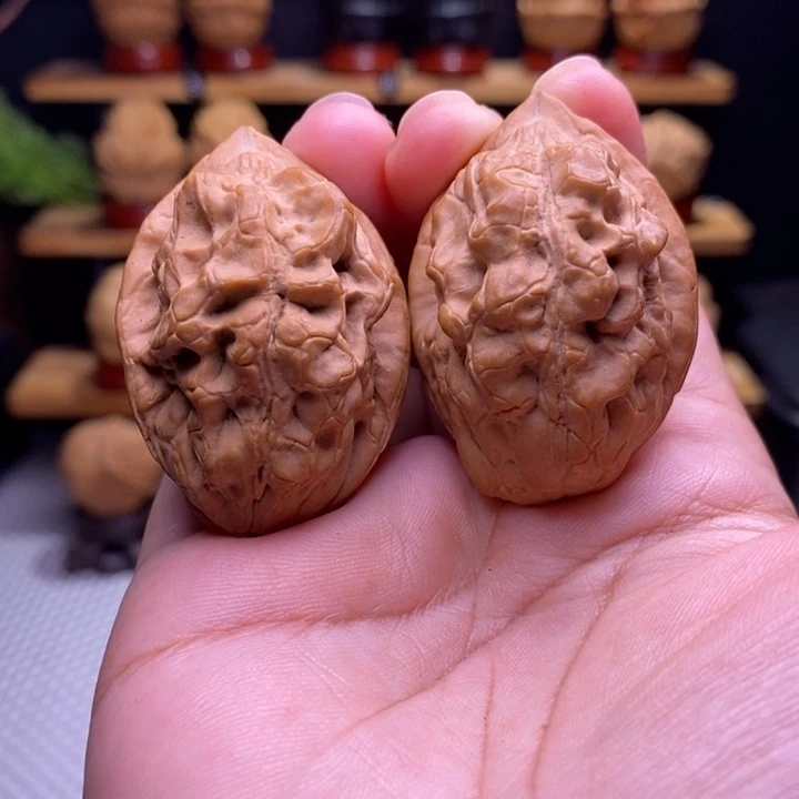 木质类云铁毒蝎子44号