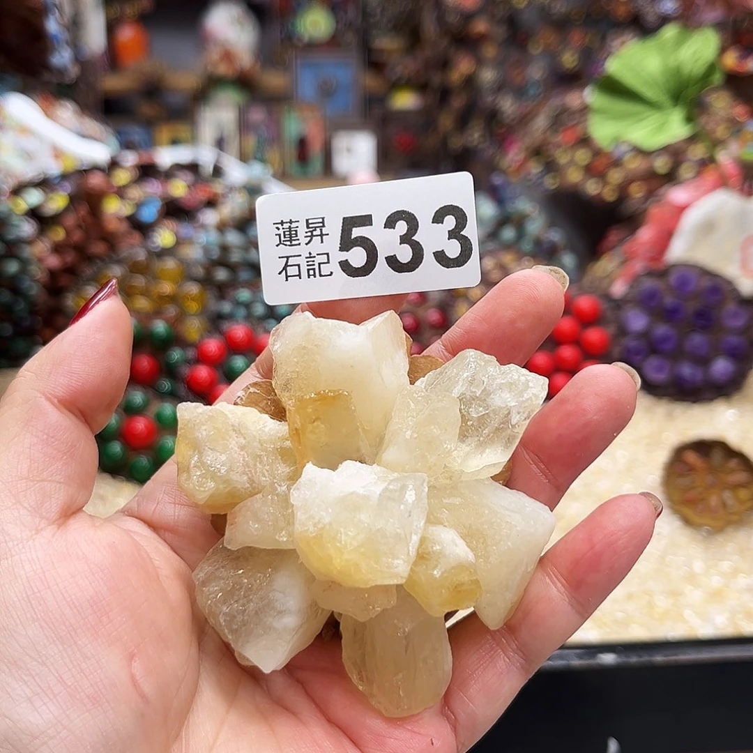 奶****核桃木/黑胡桃（胡桃木）533