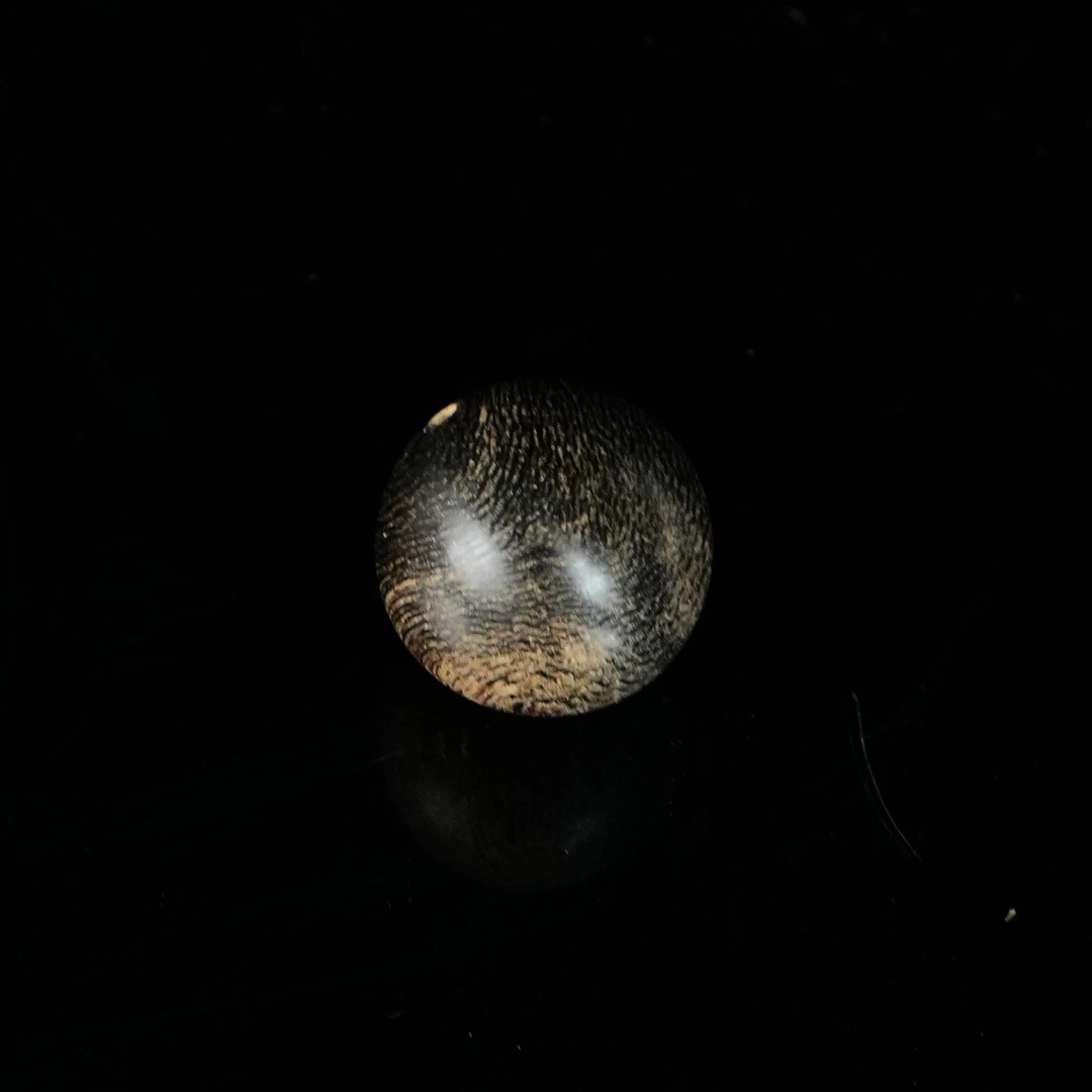 B6111 文莱黑油沉水错金单珠/五条经 1.64cm 2.65g