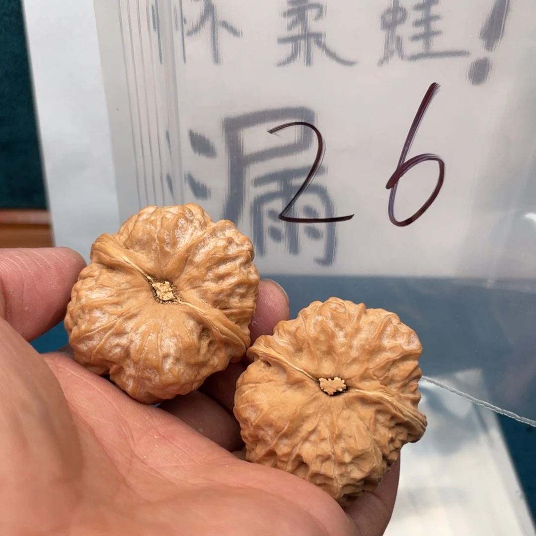 核桃手串/手链W749597947947749