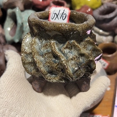 粗陶花盆，现在的支持，