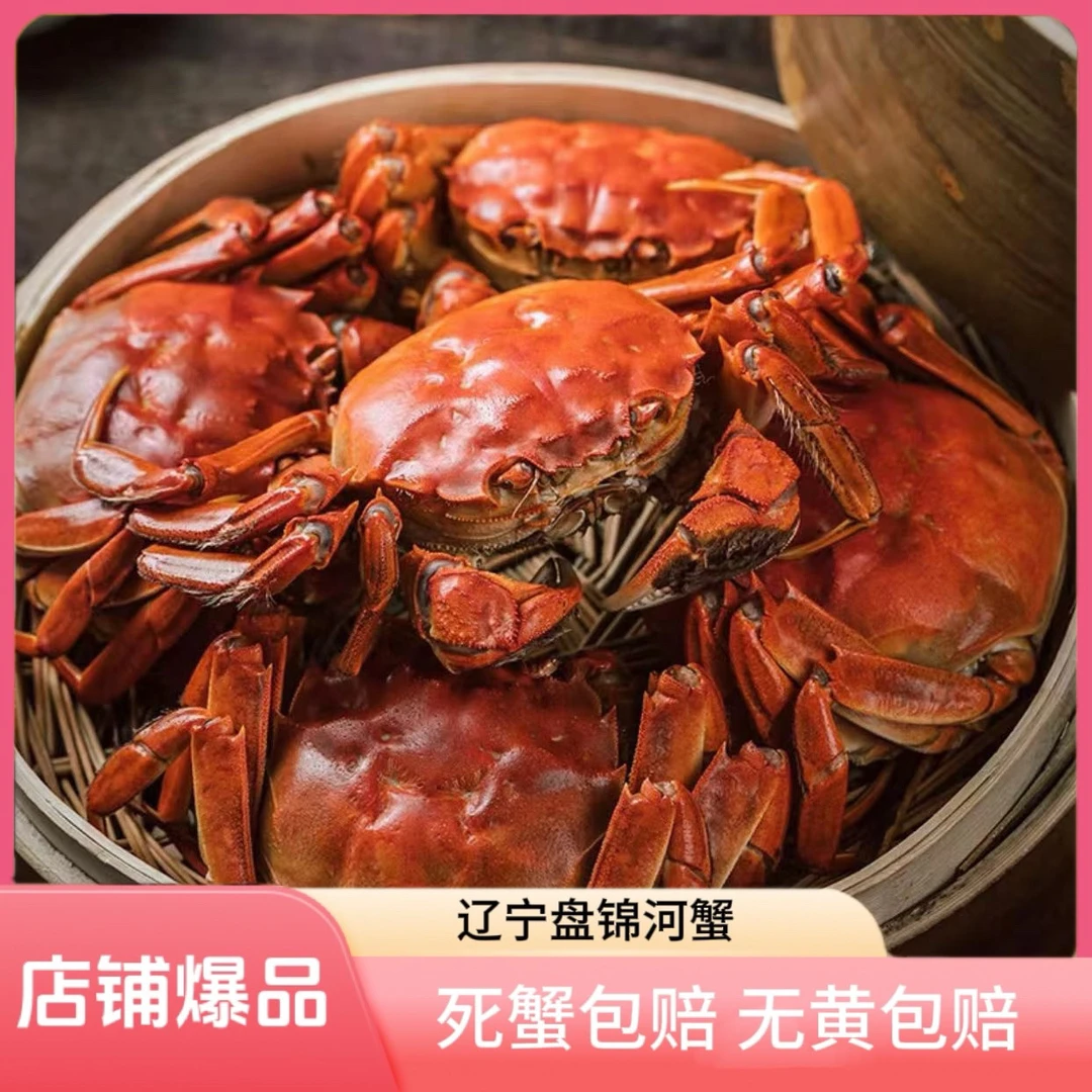 【盘锦河蟹】2两上下 鲜活大公蟹 10只绑腿 礼盒 冷链包邮