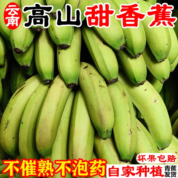 云南高山甜香蕉软糥香甜不催熟不泡药自家种植自然熟新鲜青果发货