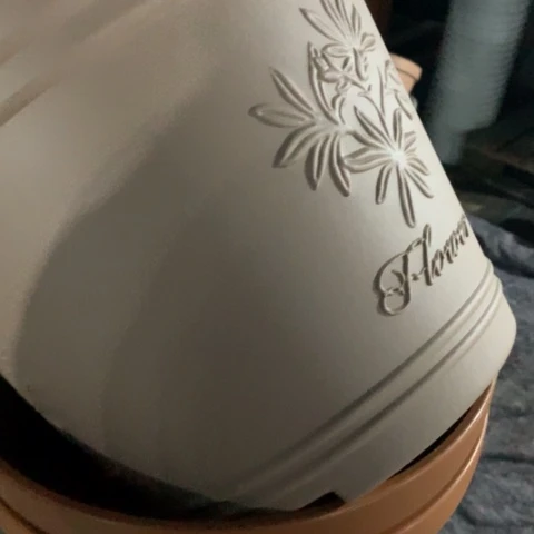 树脂九****瑰2个大号粉色无托