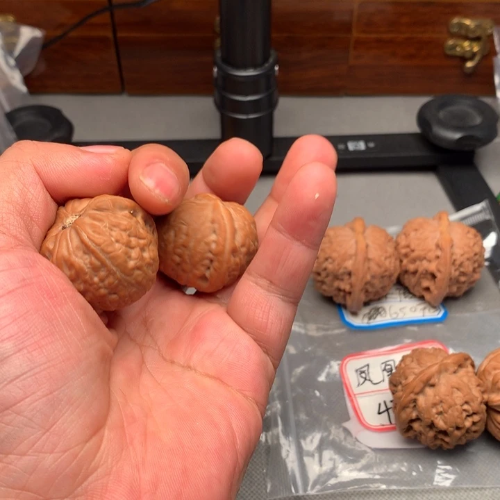 力***哥大叶紫檀（黑酸枝木类）舍利子核桃
