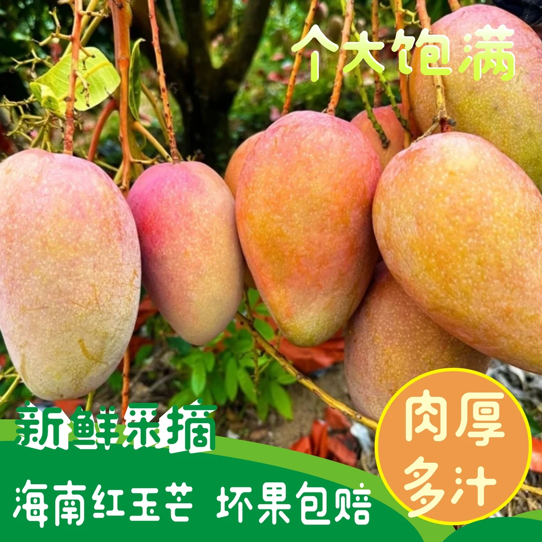 【冰淇淋红玉芒】红玉芒放软再吃海南文玉芒果香甜多汁个大饱满8斤