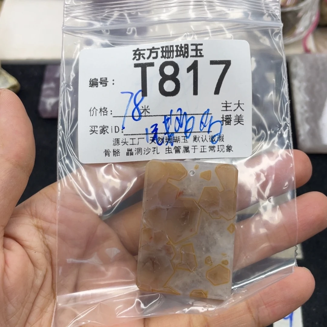 *****硅化珊瑚（珊瑚玉）合金颈饰