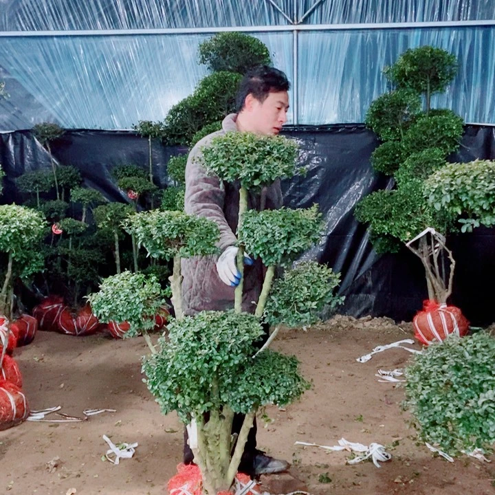 一物一图一物一拍