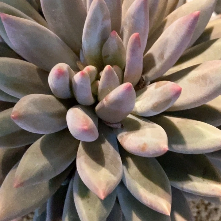 婷*我是真的很喜欢