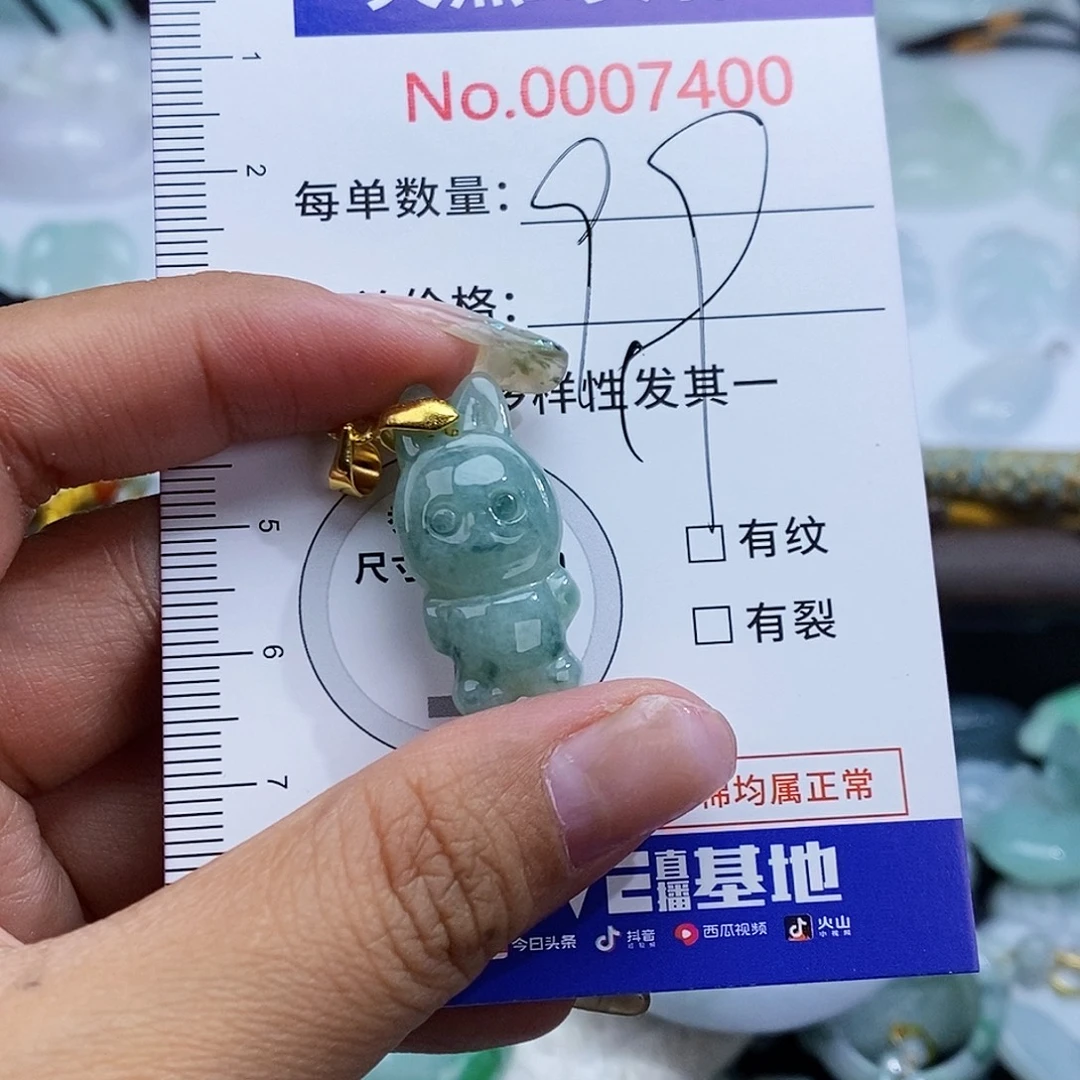 翡翠未镶嵌颈饰7400