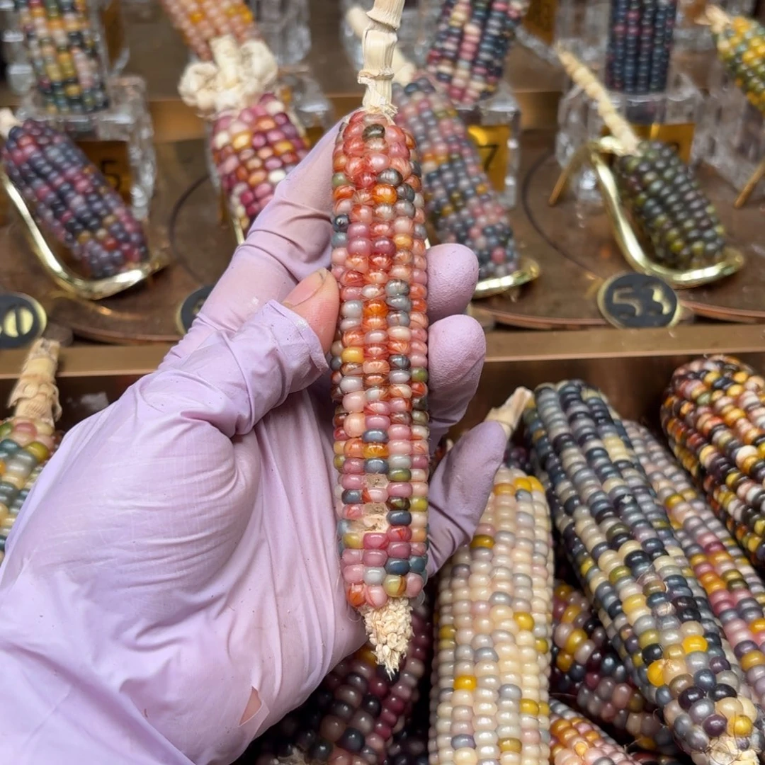 柏香籽/百香籽吊坠金**?