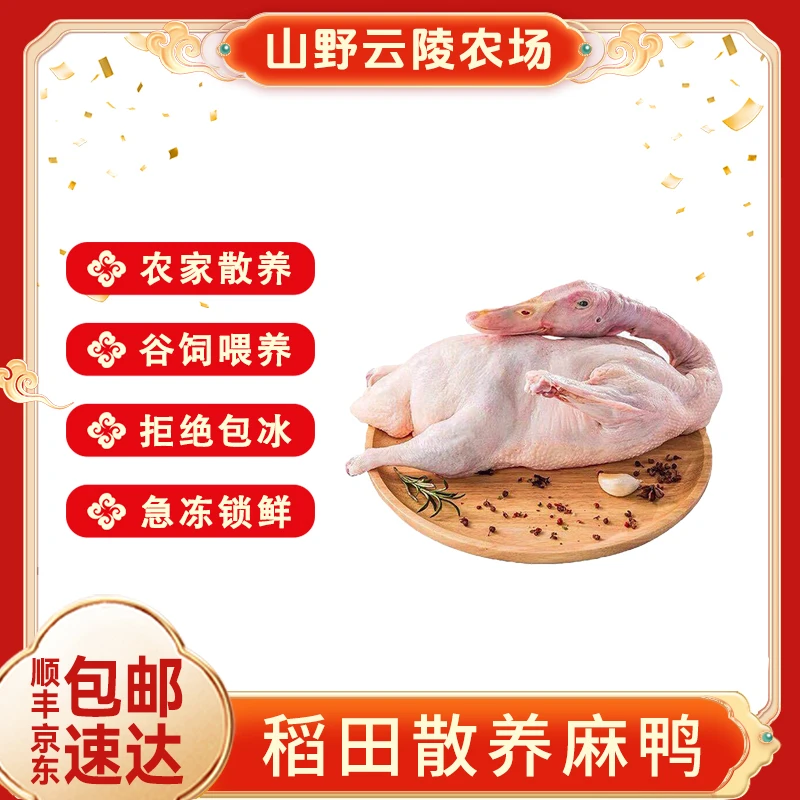 山野云陵农场散养稻田麻鸭2斤/只*2(胗,肝,心,都在)红烧不腥