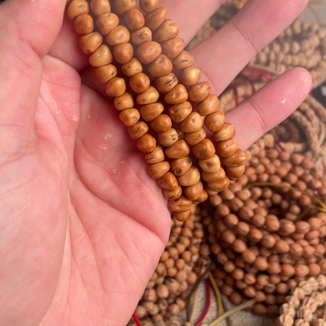 一****热振柏香籽专拍x5