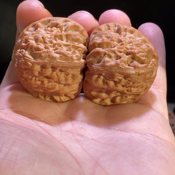 把件文玩核桃40尺白狮子